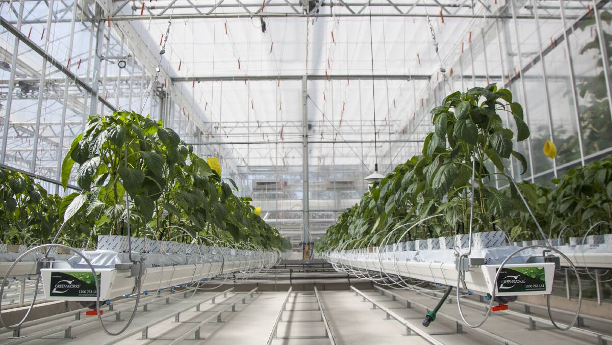 Hawkesbury Institute for the Environment is already home to the National Vegetable Protected Cropping Centre, the centrepiece of which is a $7 million glasshouse used for research, education and training to tackle the rising global demand for food.