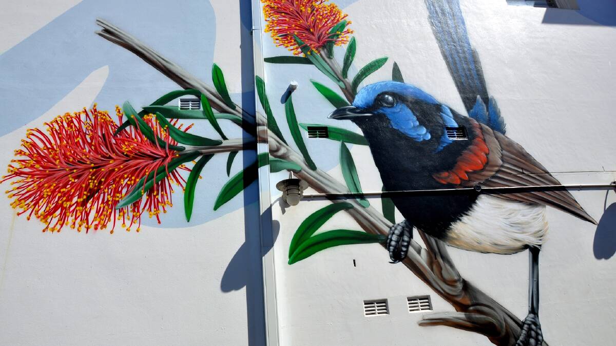 New mural painted by artist Thomas Jackson, also Windsor Mall. Picture: Supplied