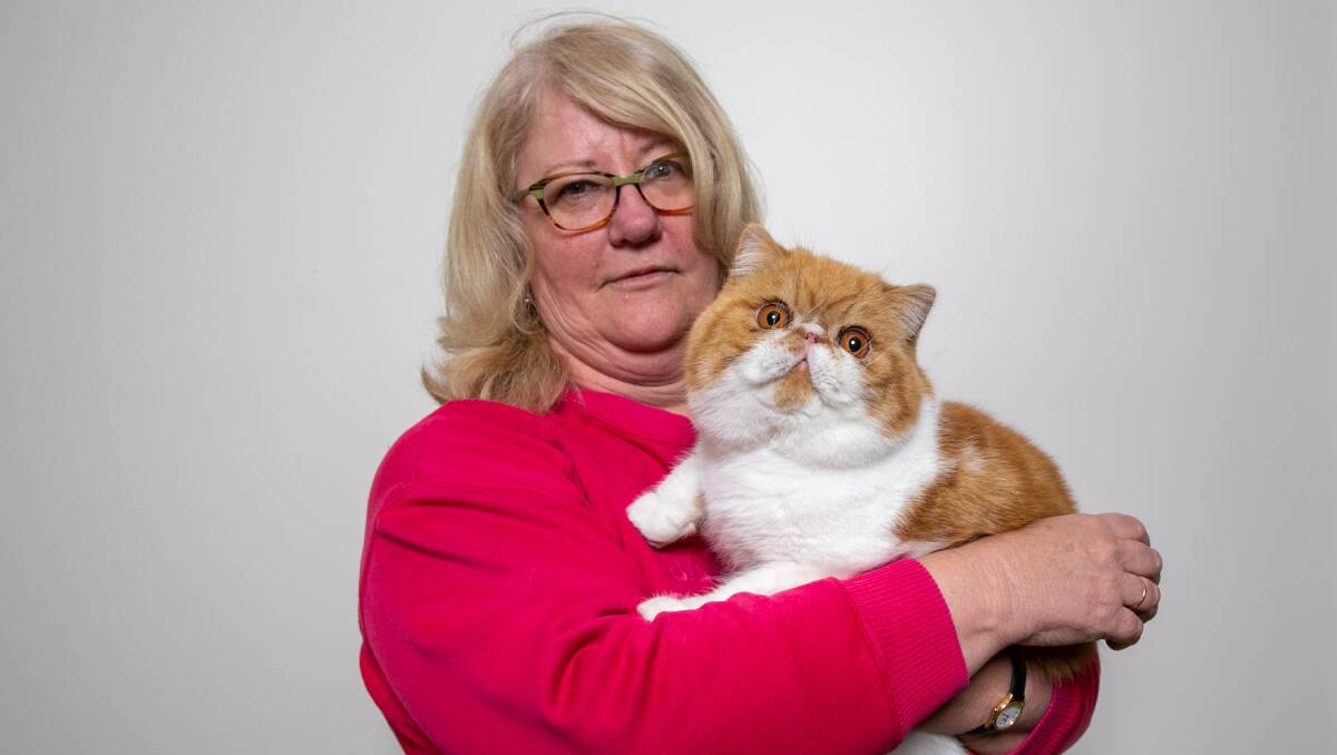 Joanne Greentree and PoGo the Exotic Shorthair. Picture: Geoff Jones