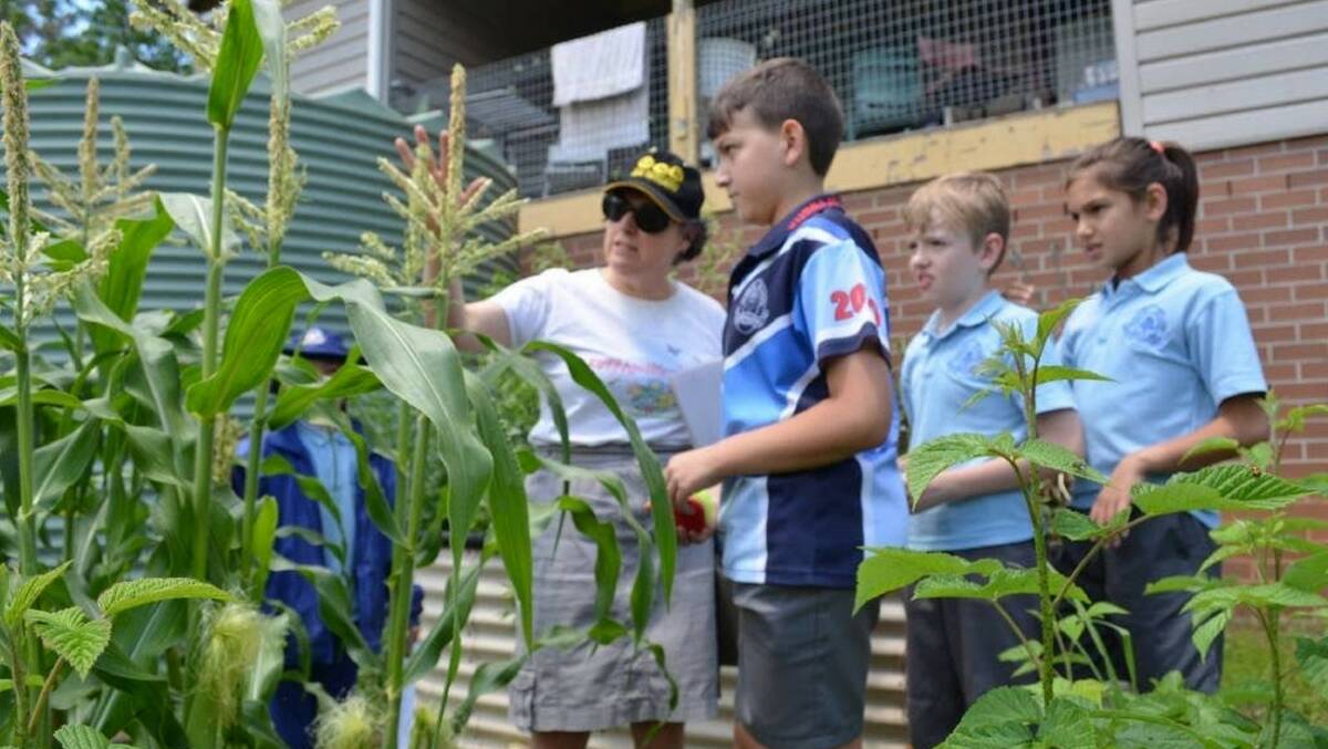 Ms Docking doing a wild pollinator count at Kurrajong Public School last year. Picture: Supplied