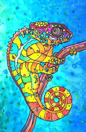 Colourful Chameleon