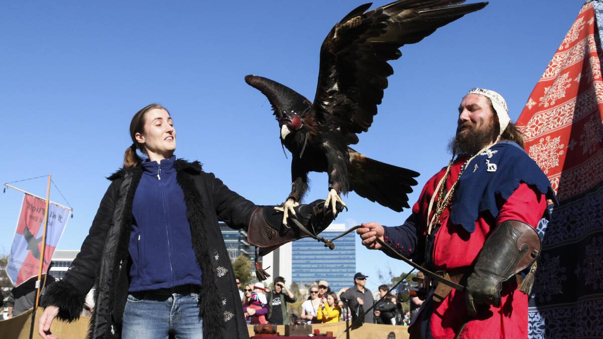 There will be birds of prey demonstrations, as well as information about their history and their role in medieval times. Picture: Supplied