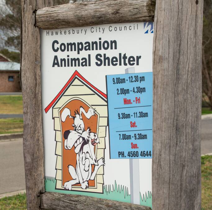 Hawkesbury Council's Companion Animal Shelter at Mulgrave. Picture: Geoff Jones