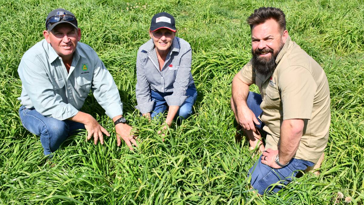 Pasture perfect: Adam Little, Linda Hanlon and Peter Conasch check out the trial's progress. Picture: Supplied