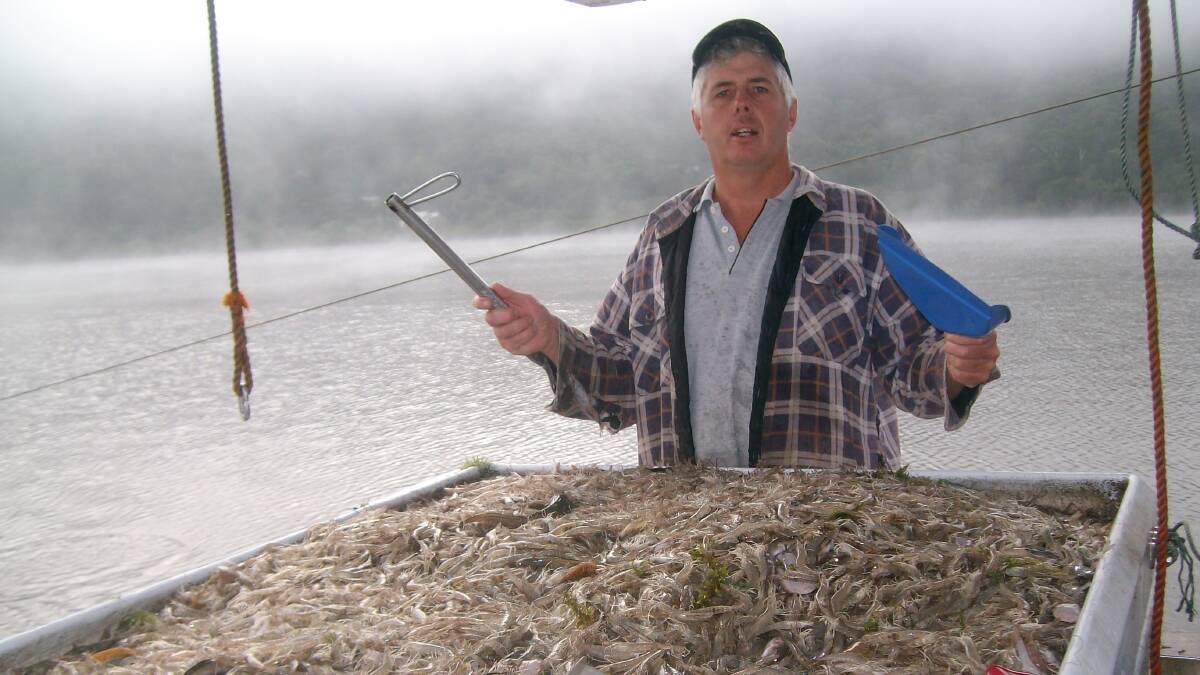 Ocean jewels: Gary Howard, PFA Chairman and Hawkesbury River professional fisherman. Picture: Supplied