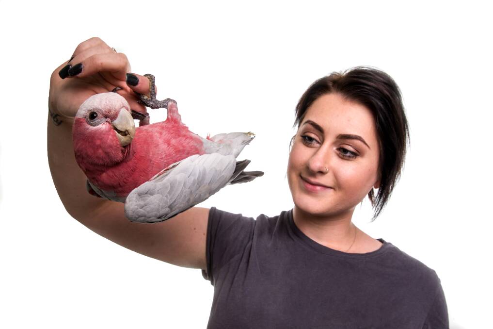 Family: North Richmond resident Sarah Andronicos with her rescue Galah and best mate, Gary. Picture: Geoff Jones