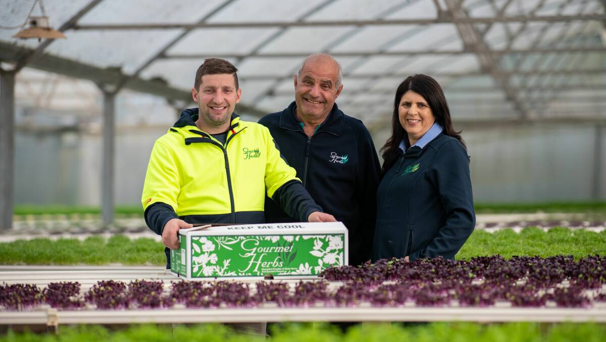 "Great achievement": James, Marcy and Jane Vassallo, owners of Gourmet Herbs at Glossodia, are finalists in the Sydney Markets Fresh Awards' Produce Grower of the Year Award category. Picture: Supplied