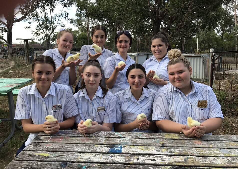 CARING: Bede Polding College students are equipped with the skills and passion to make a difference in our world. Photos: Supplied