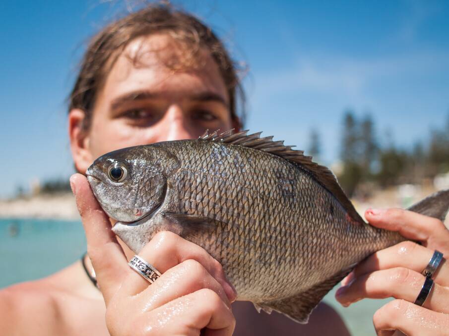 FISHFEST: Will landing a bream also land you a prize?
