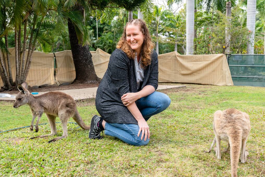 Renae Atherton with two rescue joeys at the Cape Hillsborough Nature Tourist Park.
