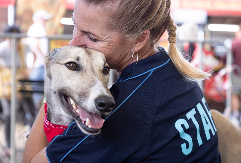 One of the beautiful greyhounds with Greyhounds as Pets staff at the National Adoption Day (Sunday April 24). Photo: Supplied