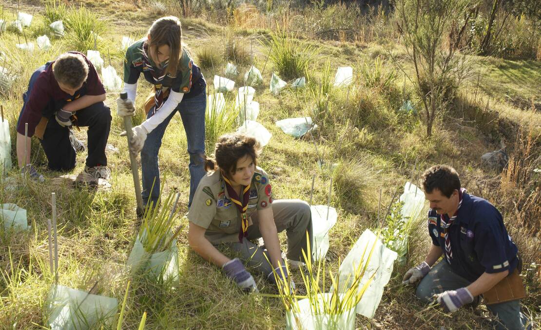Landcare volunteers in the field. Picture: Supplied