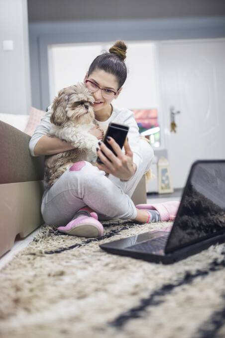 Proposed changes to the state's strata laws may make pet ownership easier for tenants. Picture: Shutterstock
