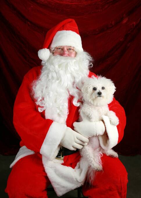 Have yourself a furry little Christmas: Pet photography with Santa will take place in-centre for a limited time only and bookings are essential.