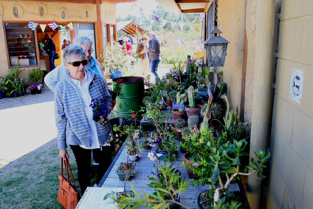 Spring Fair: Head to The Secret Garden at Hawkesbury Campus for a fun day out for the family plus an array of bargain-priced flowers and plants. Picture: Geoff Jones
