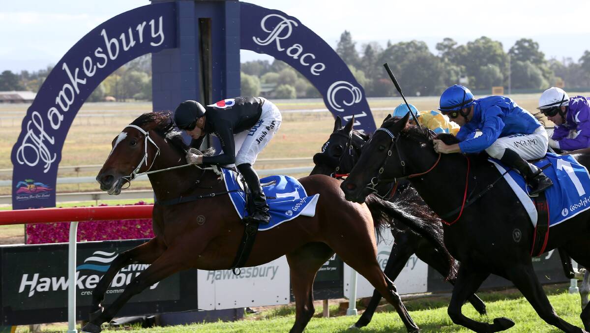 RACE DAY: The charity Race Day will take place at the Hawkesbury Race Club in Clarendon. Picture: Geoff Jones .