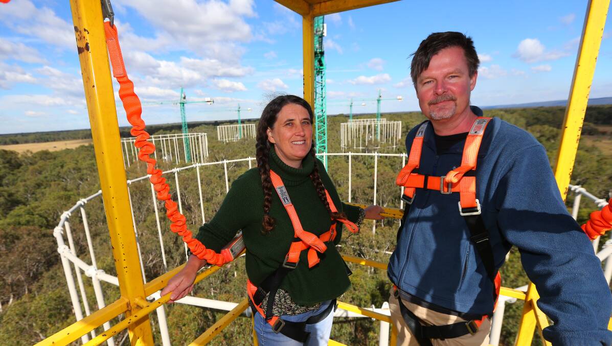 Professor Belinda Medlyn and Professor Mark Tjoelker at the Eucalyptus Free Air CO2 Enrichment project at Richmond. Picture: Geoff Jones