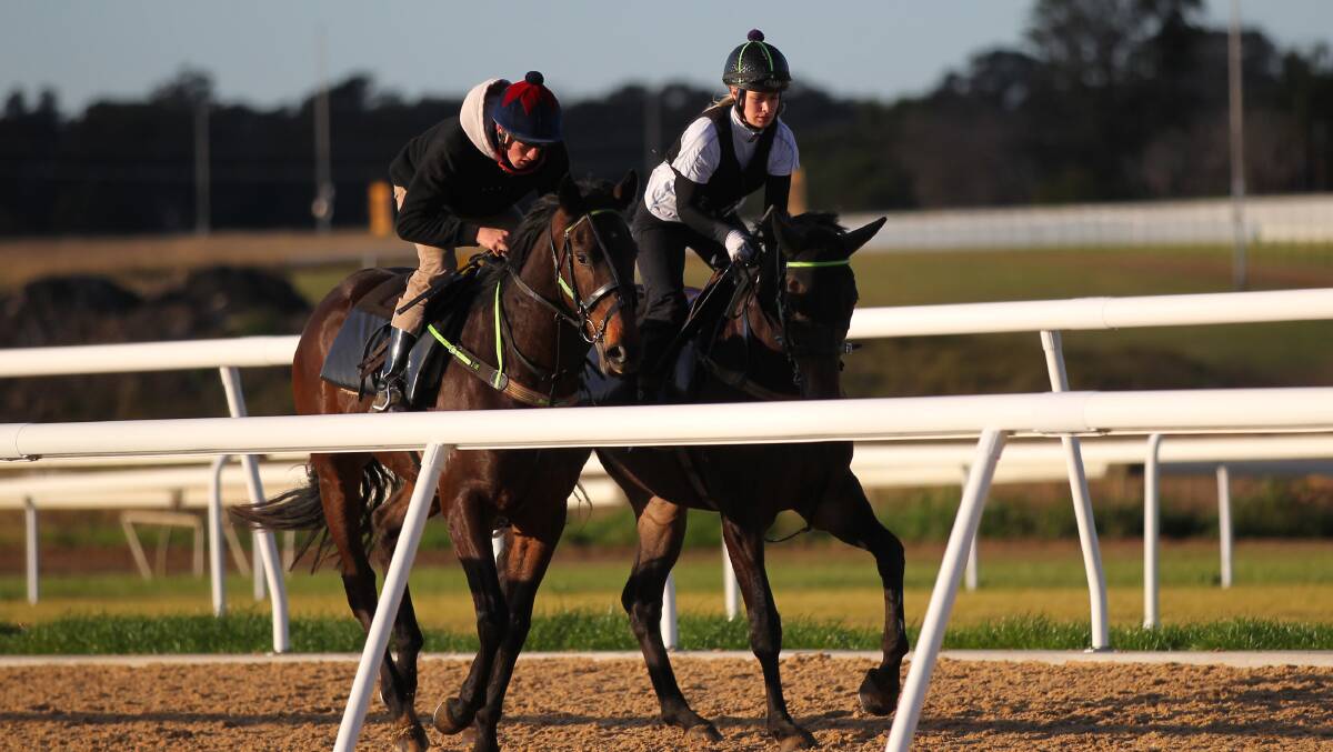 Early morning jump-out work at the Hawkesbury Race Club on its synthetic Polytrack training surface. Picture: Geoff Jones