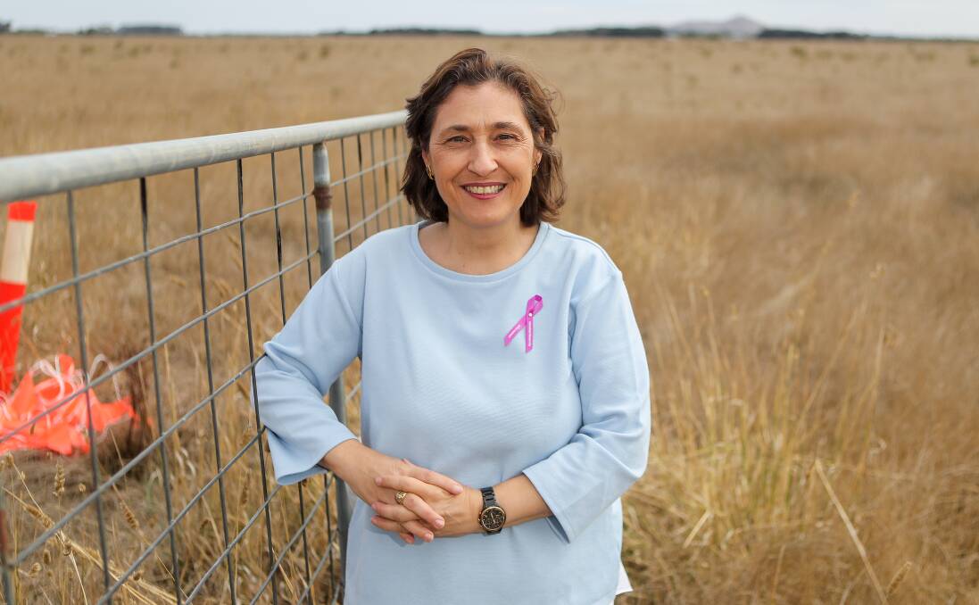 Time for action: State energy minister Lily D'Ambrosio has been called on to take action against Powercor after a secret report revealed massive problems in the electricity giant. Picture: Morgan Hancock