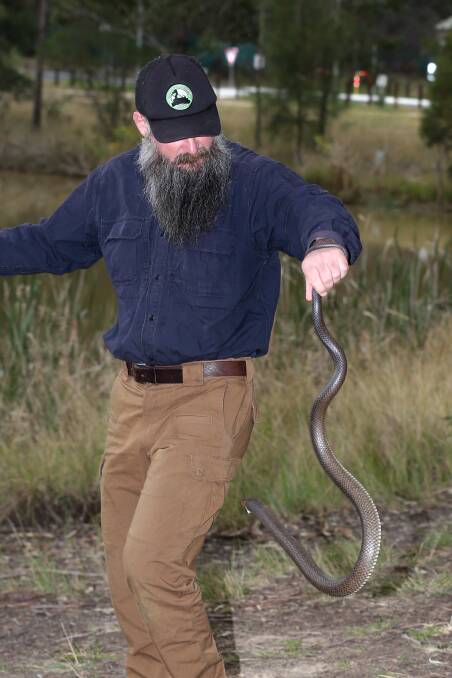 Consummate professional: Snake catcher Robert Ambrose has been catching snakes professionally for 10 years. Picture: Geoff Jones 