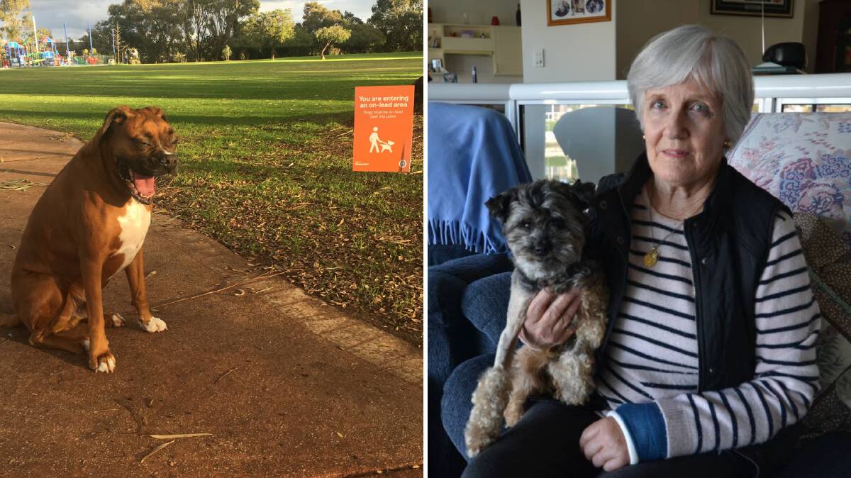 LEFT: Gareth's dog Roman thinks WA's dog laws are a big joke. RIGHT: Mandurah resident Eileen Beitmanas has been left with a $3000 vet bill and a broken arm after being attacked.