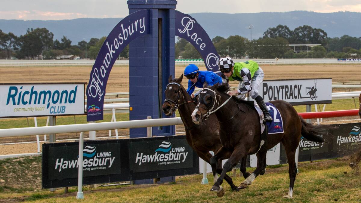 Mister Sea Wolf takes out the Rowley Mile at Hawkesbury