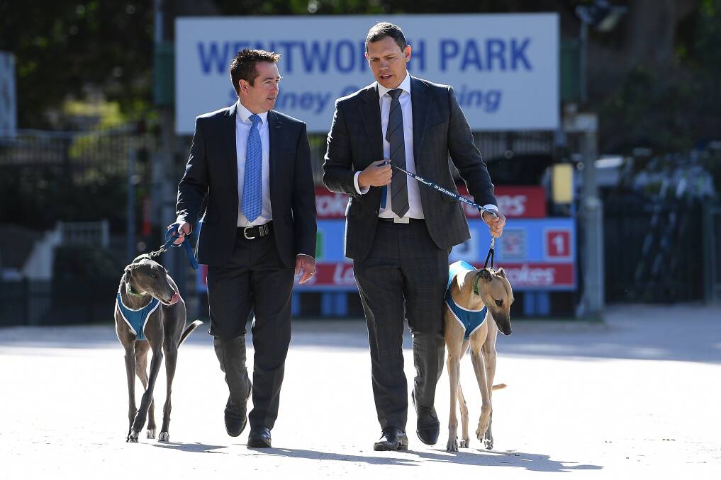 Chase: Racing Minister Paul Toole (left) and Greyhound Racing NSW CEO Tony Mestrov with greyhounds Heidi (left) and Ernie, at Wentworth Park after announcing the State Government has handed $500,000 in prize money to the sport for the Million Dollar Chase. Picture: AAP Image/Dan Himbrechts.
