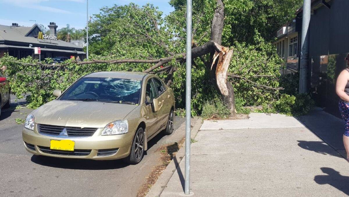 Damaged: The tree came down outside the Richmond Inn Hotel on March Street, damaging a car. Picture: TNV.