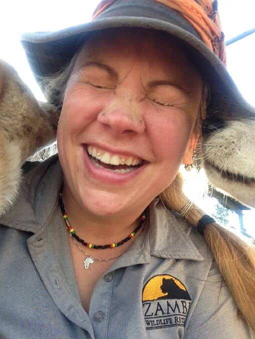 Dingo kisses: Dannii Warner gets up close to one of Zambi Wildlife Retreat's residents.