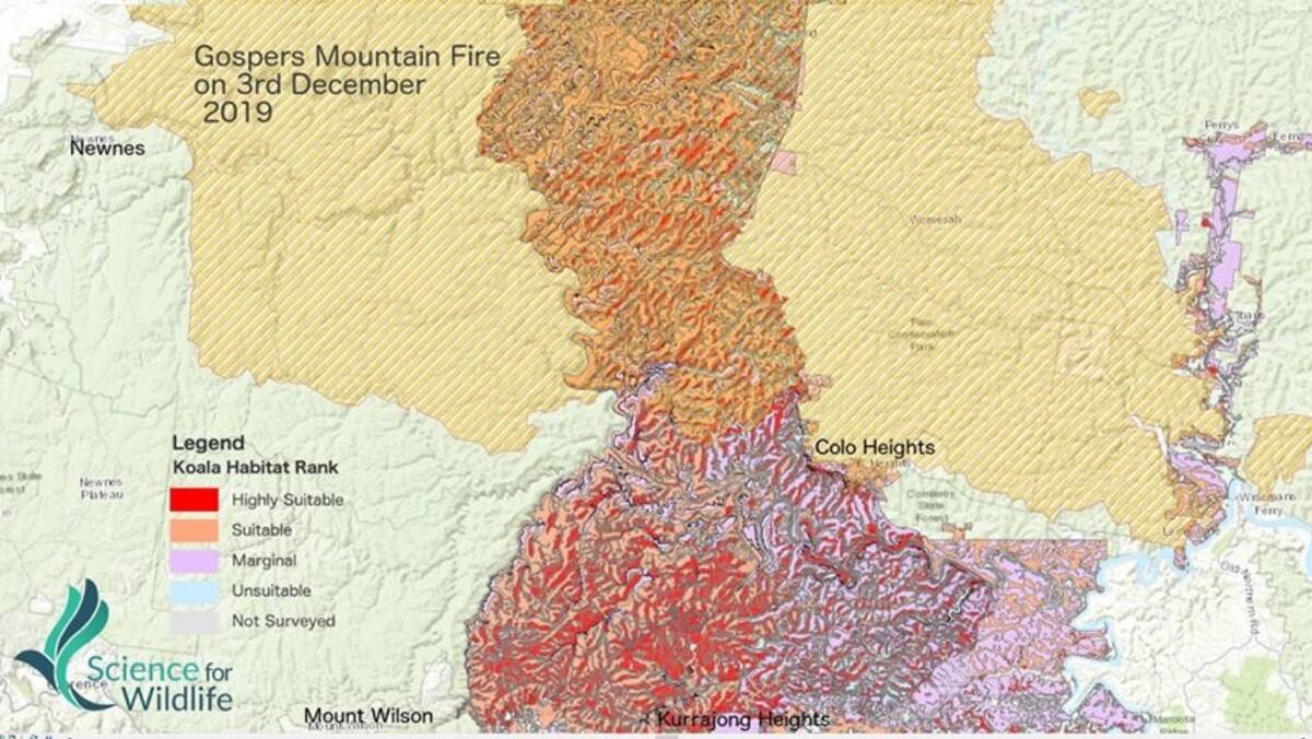 Map: The map released by Science for Wildlife showing the effects on koala habitat by the Gospers Mountain fire. The red and orange areas are classified as highly suitable and suitable for koalas. Picture: Science for Wildlife.