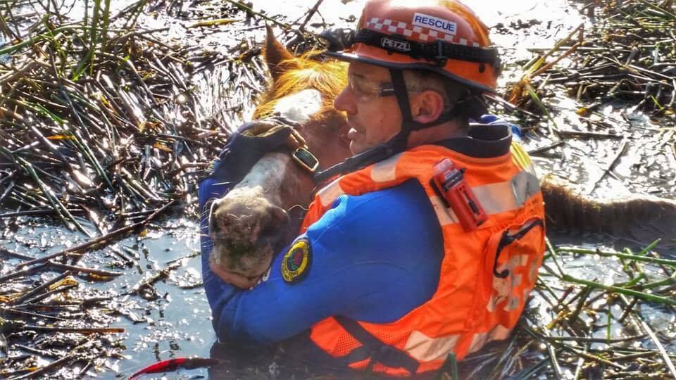 Felicia being supported in the dam at Blaxlands Ridge. Picture: Hawkesbury SES.