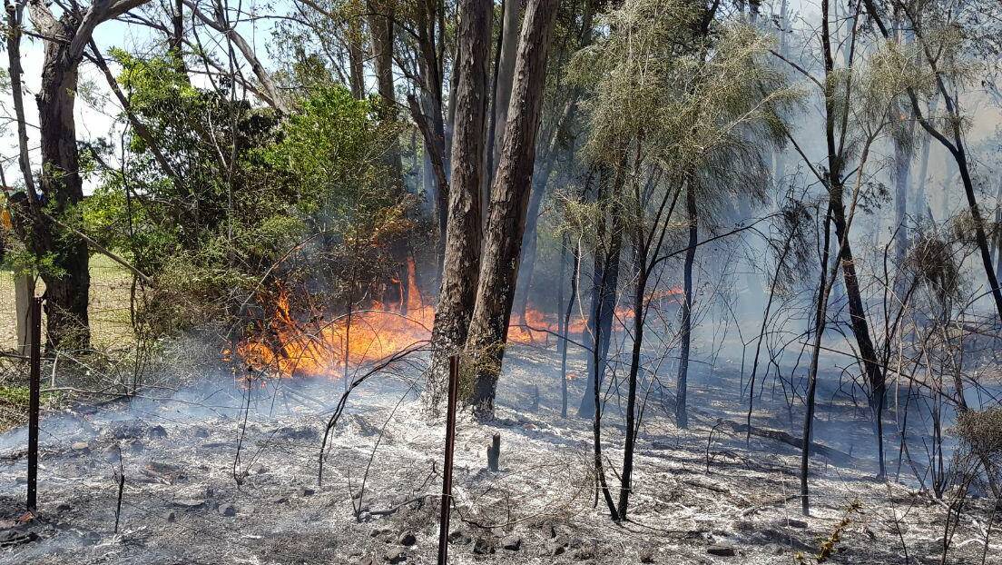 Fire: The fire burning at East Kurrajong on Saturday. Picture: TNV.