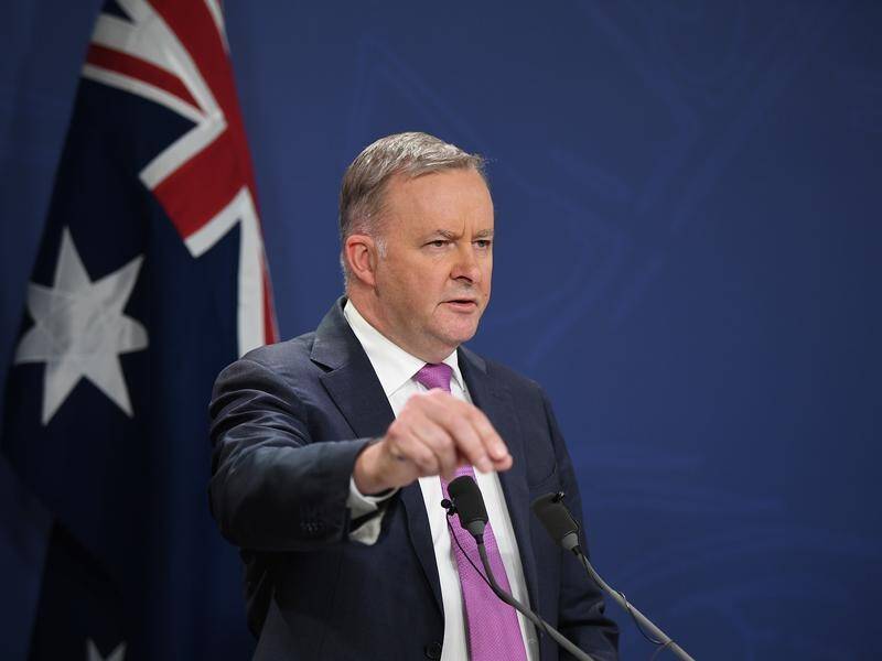 New Labor leader Anthony Albanese has slammed the naming of two current senators for overseas posts