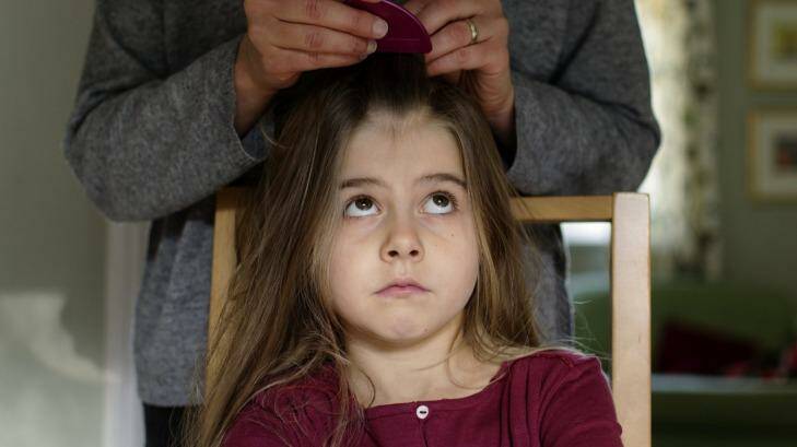 A young girl being treated for head lice. Photo: iStock