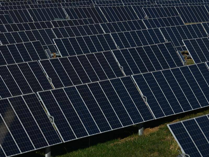 Solar farms are the most accepted type of renewable energy infrastructure, according to the survey. (Mick Tsikas/AAP PHOTOS)