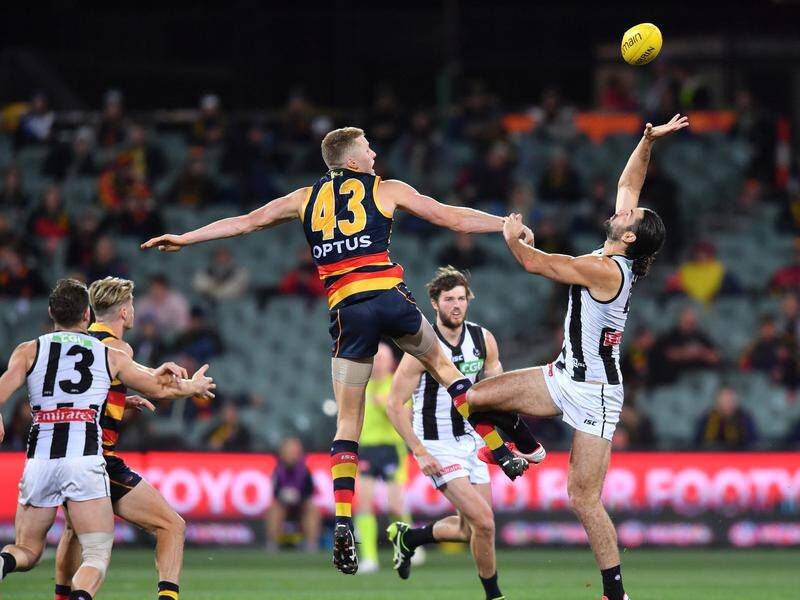 A below-strength Collingwood have extended Adelaide's losing run in the AFL in a 24-point win.