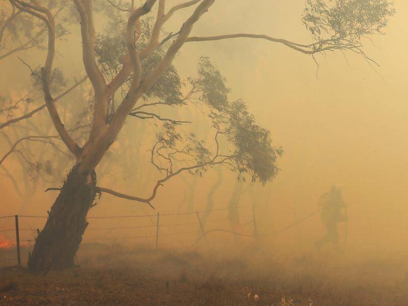 Smoke from the recent bushfires caused 445 premature deaths and thousands of hospital admissions.