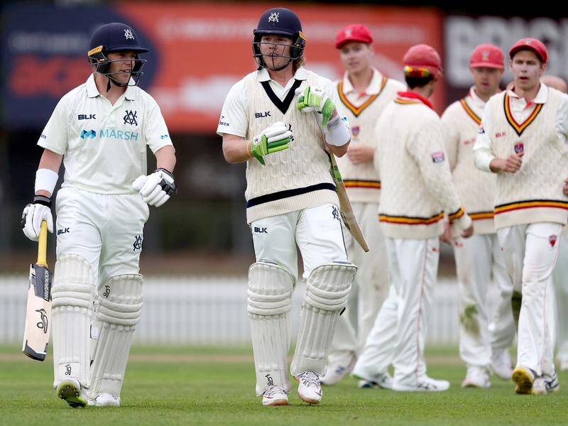 Victoria openers Marcus Harris and William Pucovski plundered South Australia's bowlers.