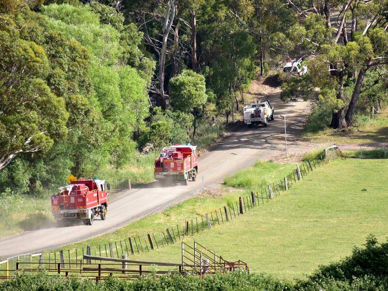 Fire crews are battling high winds on Friday as they continue to fight a bushfire near Ballarat.