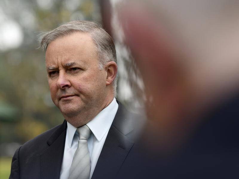 Anthony Albanese is facing two challenging issues within Labor - the Adani mine and John Setka.