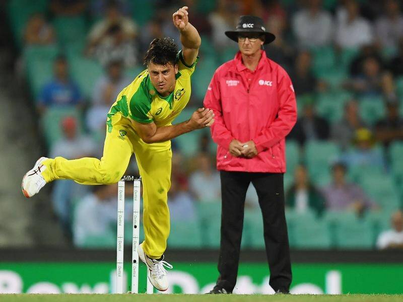 Allrounder Marcus Stoinis has declared himself fit for BBL bowling duties for the Melbourne Stars.