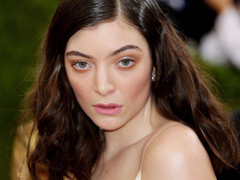 A New Zealand minister says fining people who urged Lorde to cancel an Israeli concert is a stunt.