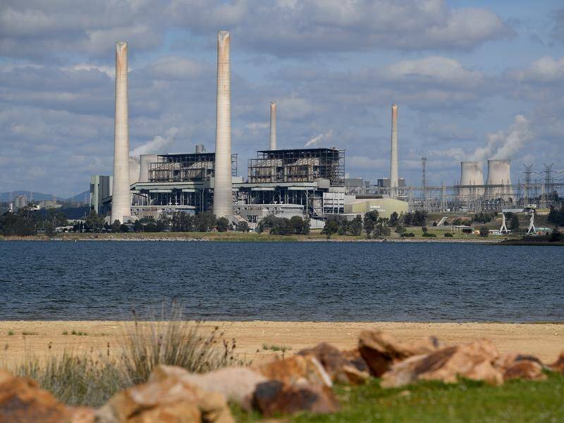 A new gas import terminal in Newcastle could be built before the Liddell power station closes.