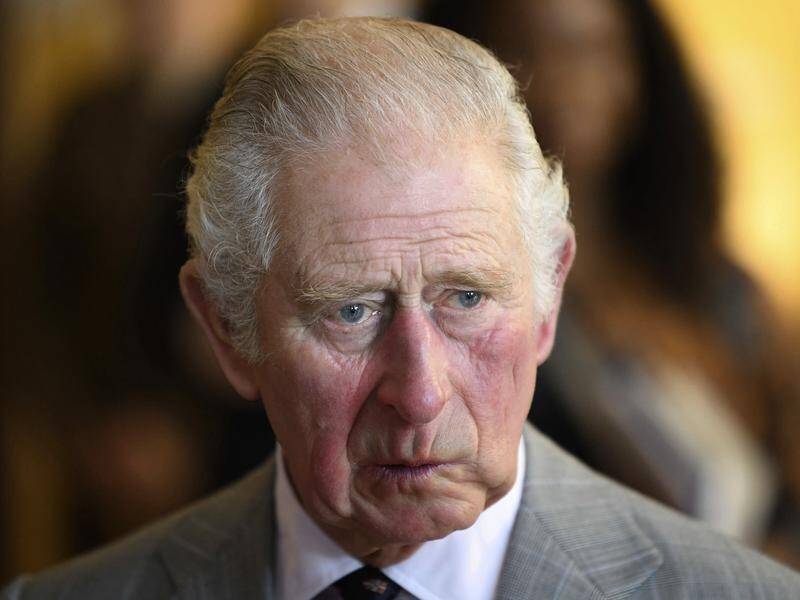 A new book alleges Prince Charles asked about the complexion of Harry and Meghan's future baby.