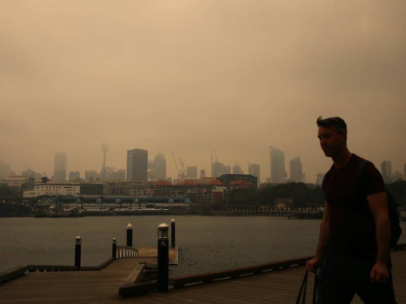 Health experts have warned Sydney's smoke haze will affect people's long-term health.