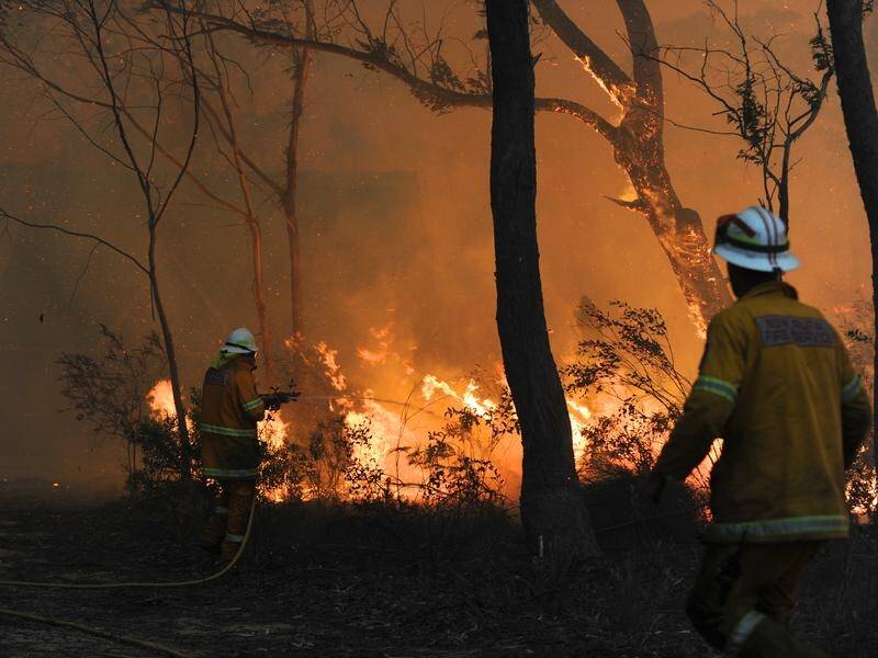 Despite widespread rains, large areas of Australia have been placed on heightened bushfire alert. (Dean Lewins/AAP PHOTOS)
