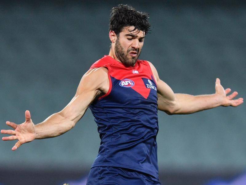 Christian Petracca was one of two Melbourne players to apologise after their "juvenile" behaviour.