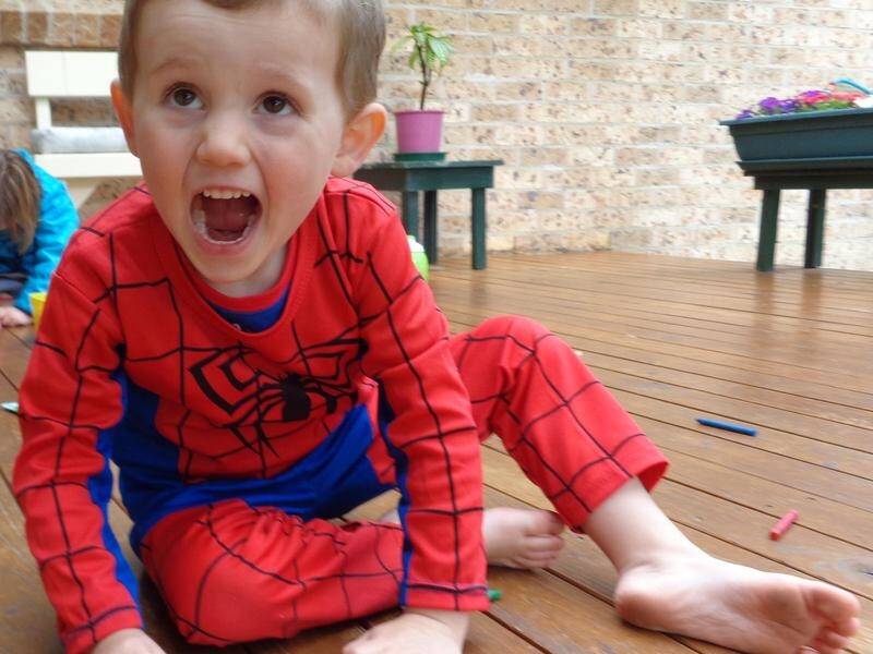 William Tyrrell went missing from his foster grandmother's home on the NSW mid north coast in 2014.