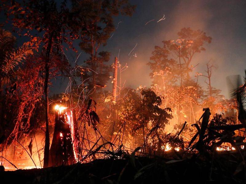 Brazil's foreign minister says there is no climate catastrophe and denied burning the Amazon.