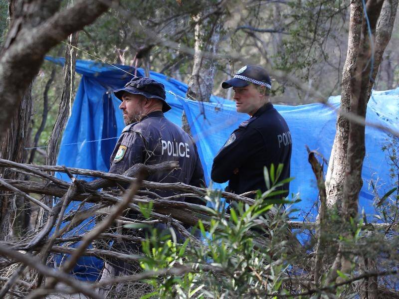 Skeletal remains have been found in the search for NSW woman Thea Liddle in bush near Byron Bay.